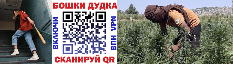 Что такое Мурманск ссылка на мегу ССЫЛКА  NBOMe  A PVP  Каннабис  ГАШИШ  МЕФ  Галлюциногенные грибы  Кокаин 