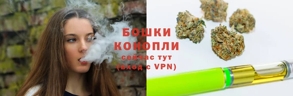 амф Ладушкин