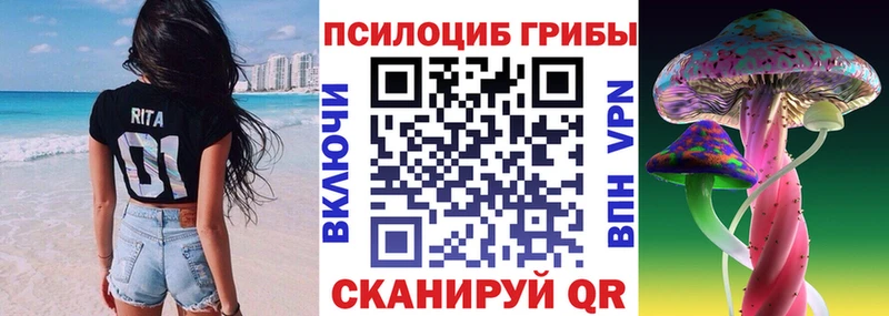 Псилоцибиновые грибы Psilocybine cubensis  Мурманск 