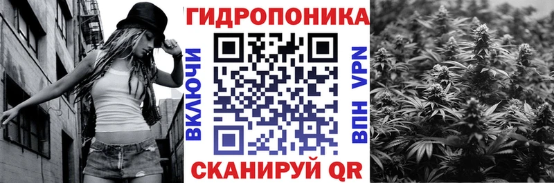 Конопля White Widow  сколько стоит  Мурманск 