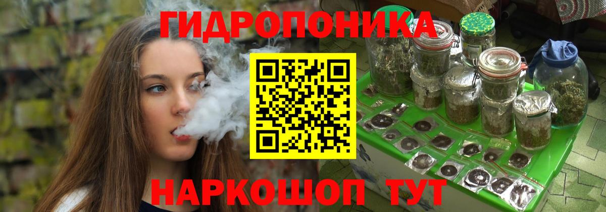 Шишки марихуана планчик Мурманск